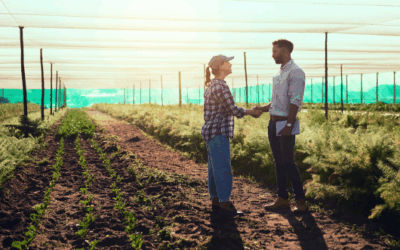 Pesquisa aponta impacto do cloreto de potássio na atividade microbiana e no ciclo do nitrogênio no solo