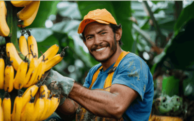 Os impactos do excesso de cloro de fertilizantes como o cloreto de potássio na agricultura