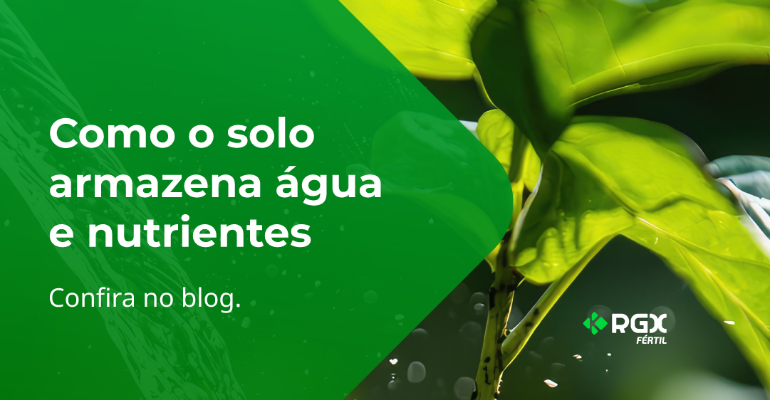 Como o solo armazena água e nutrientes: a base da produtividade agrícola