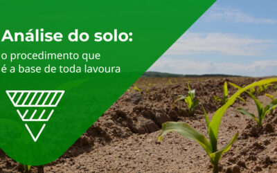 Análise do solo: o procedimento que é a base de toda lavoura