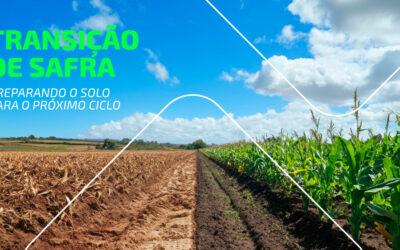 Transição de safra: preparando o solo para o próximo ciclo