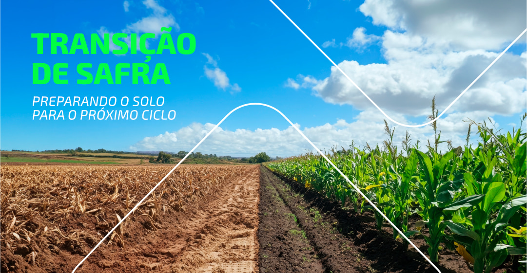 Transição De Safra Preparando O Solo Para O Próximo Ciclo Blog ()