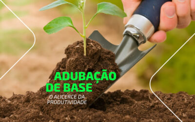 Adubação de base: o alicerce da produtividade