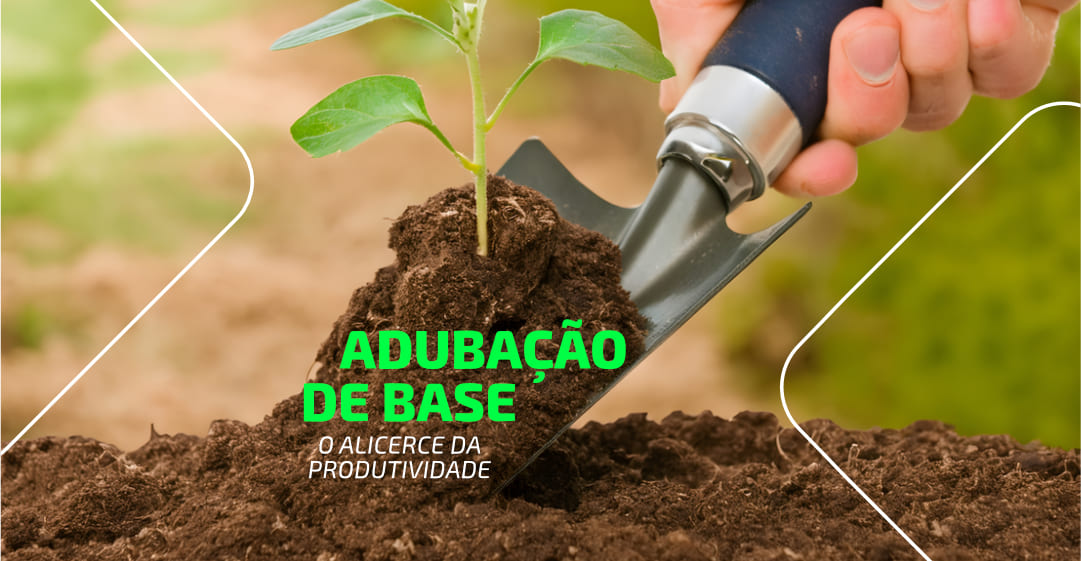 Adubação De Base O Alicerce Da Produtividade Blog