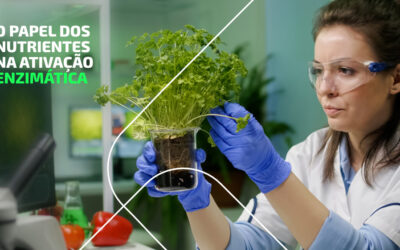 O papel dos nutrientes na ativação enzimática